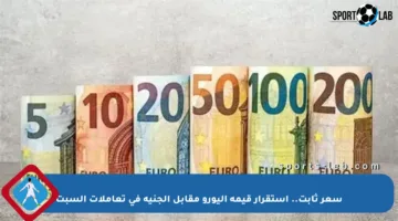 سعر ثابت.. استقرار قيمة اليورو مقابل الجنيه في تعاملات السبت